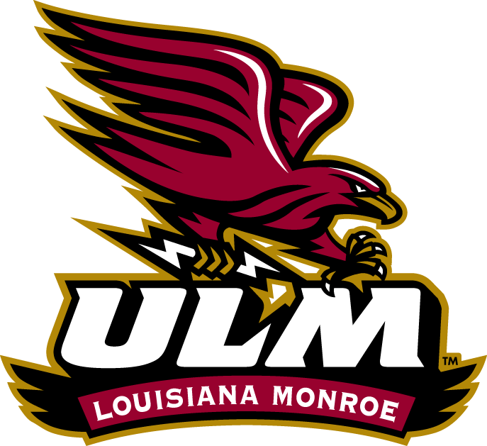 Louisiana-Monroe Warhawks 2006-Pres Alternate Logo v2 DIY iron on transfer (heat transfer)
